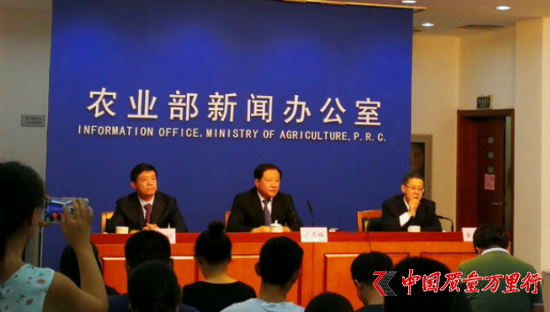 云图片