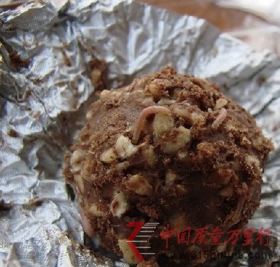 高价名牌巧克力费列罗被曝爬出蛆虫