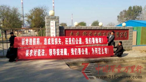 套证农药致甜瓜绝收 厂家主动提出“象征性罚点款就行了”