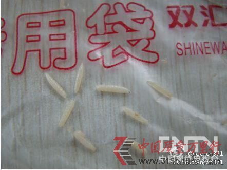 网曝双汇肋排烫出蛆虫 公司称确有“白点”但需鉴定(微博供图)。 网曝双汇肋排烫出蛆虫 公司称确有“白点”但需鉴定(微博供图)。