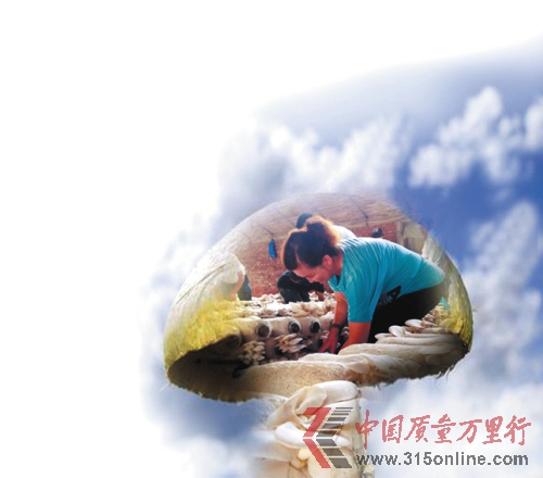 业内曝摊贩1斤蘑菇泡出2.2斤