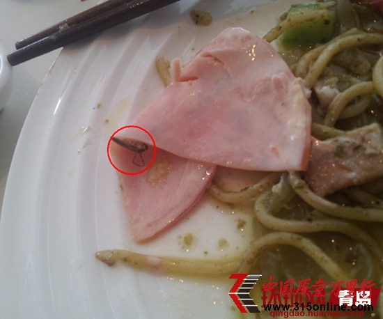 佳世客沙龙餐厅所售沙拉里的蟑螂 佳世客沙龙餐厅所售沙拉里的蟑螂