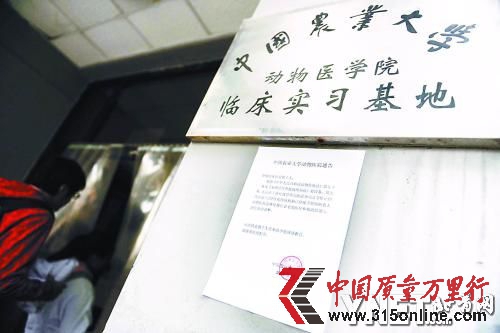 动物医院门口贴出停业通告 ■摄影/本报记者 袁艺