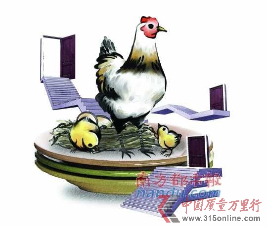 “从田间到餐桌”的“一体化”养殖模式转型,将是未来餐桌安全之路?南都制图:宋小伟