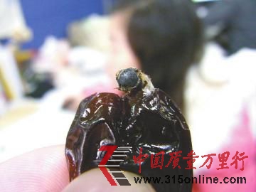 市民从枣子里吃出的虫子。(图中圆圈处)