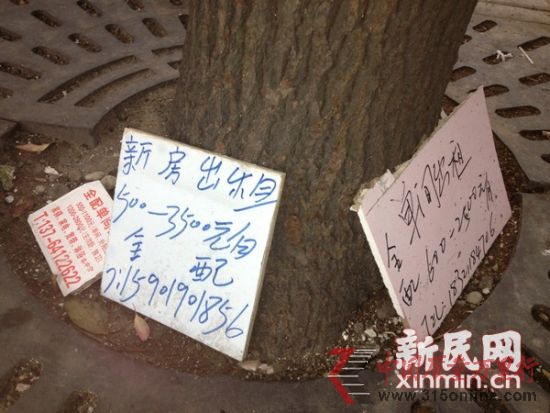 图说:在打人事件发生10天后,群租活动和招租广告依然毫不避讳。新民网记者 沈文林 摄
